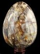 Giant Polished Petrified Wood Egg - Lbs #51660-1